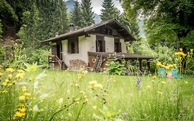 Chalet Silenthia